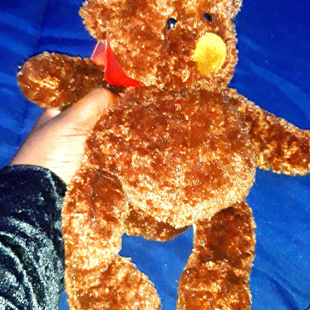 Teddy Bear